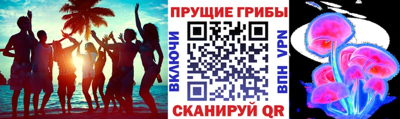 наркота  Мензелинск  Галлюциногенные грибы Psilocybe 